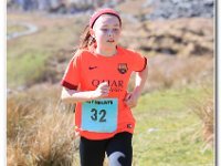2015-04-18 -D47I2085 : ras y moelwyn